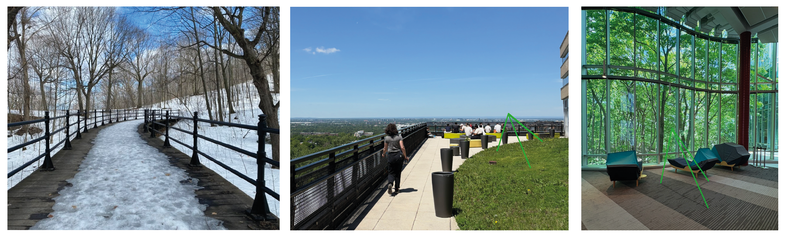 Les Cimes | trois parcours : sentier enneigé du chemin Olmsted, terrasse panoramique de l'Université de Montréal, intérieur vitré avec vue sur la forêt
