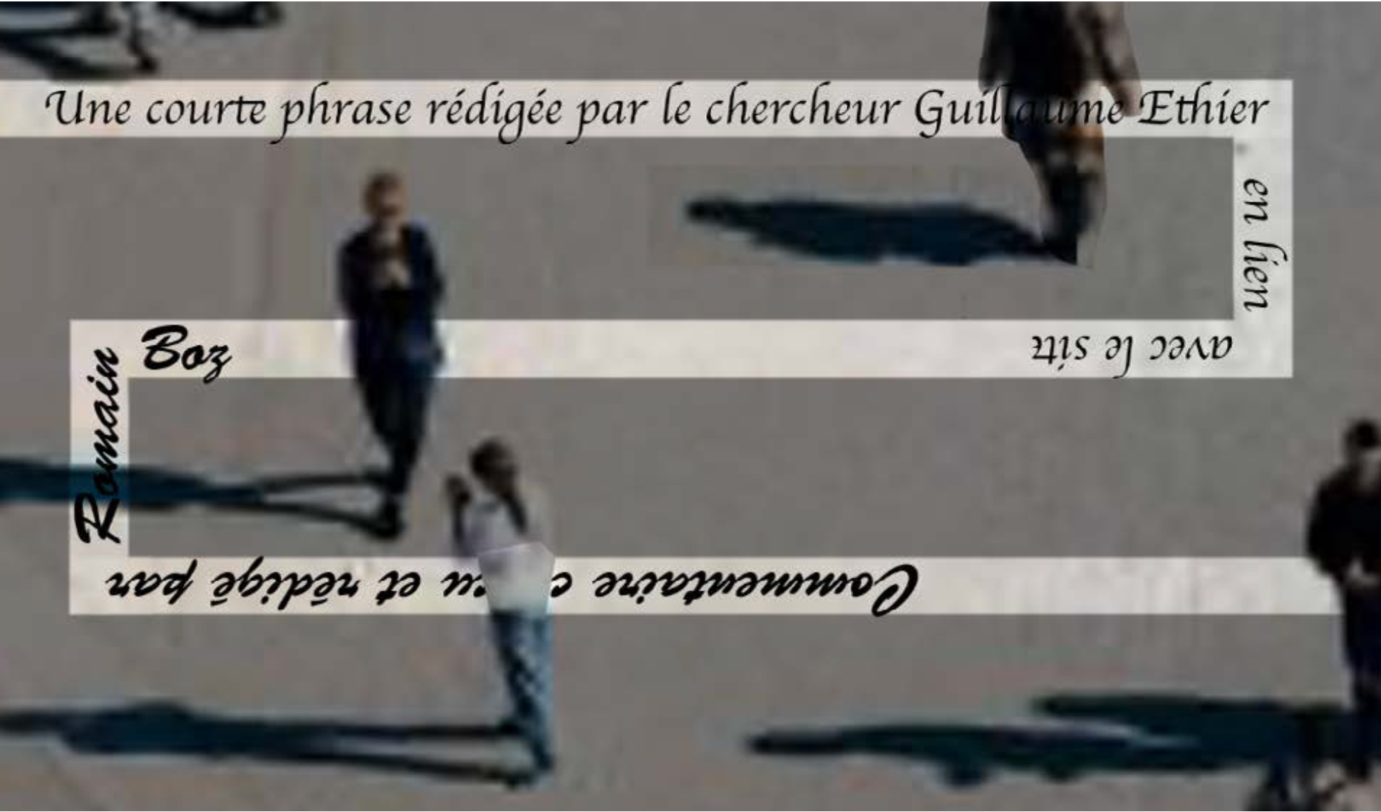 Trottoir en pavé avec arbre et grille de protection, la ligne typographique longeant le bord du trottoir