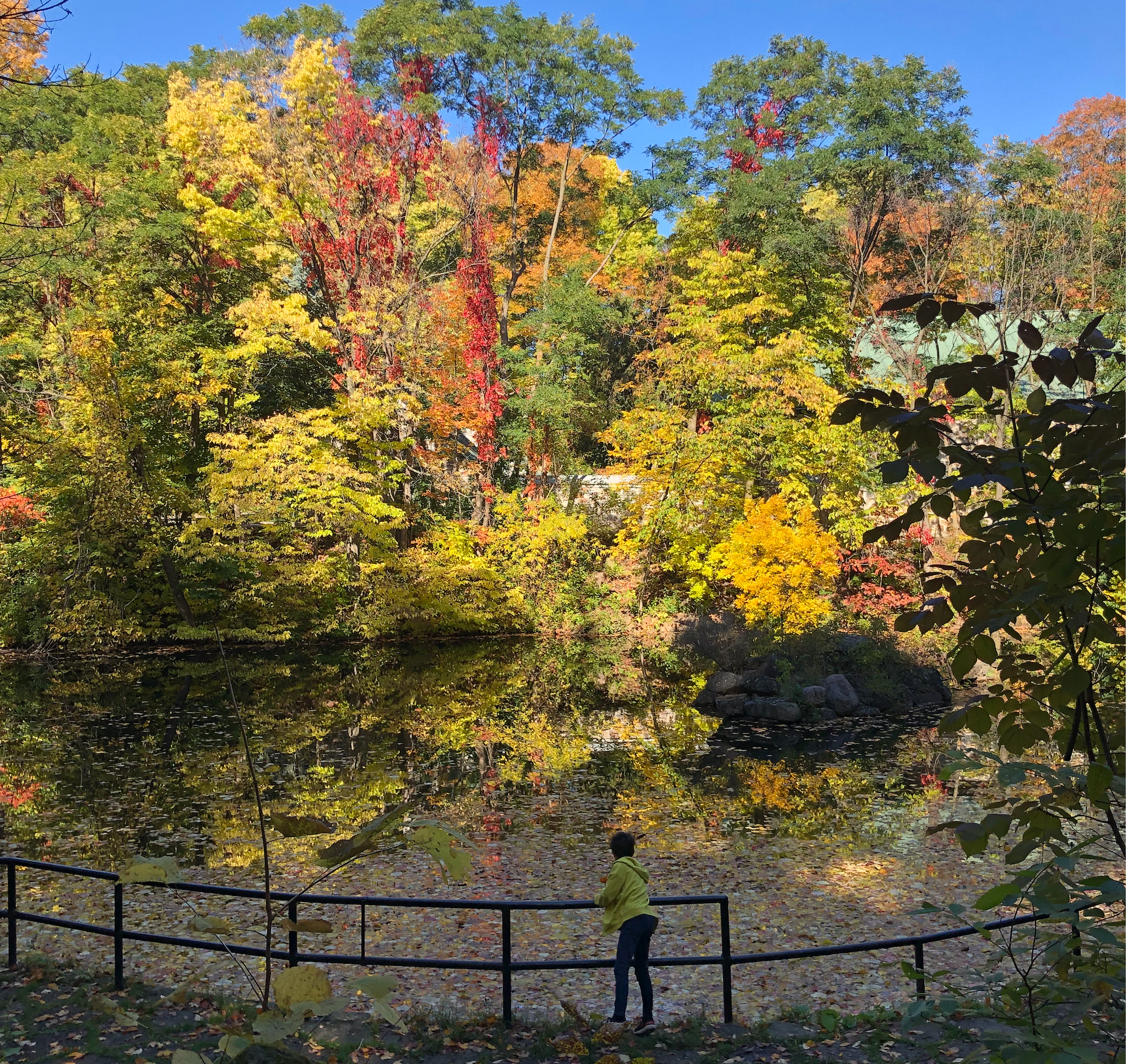 Paysage automnal avec un étang reflétant les arbres aux couleurs vives, une personne en veste jaune au premier plan