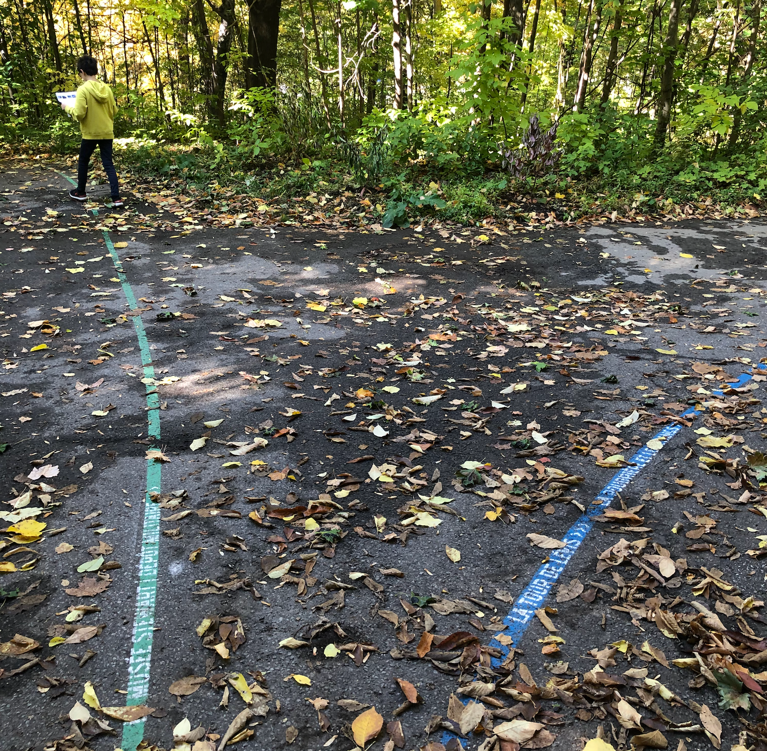 Enfant en veste jaune marchant sur un sentier forestier avec les lignes verte et bleue peintes sur l'asphalte couvert de feuilles