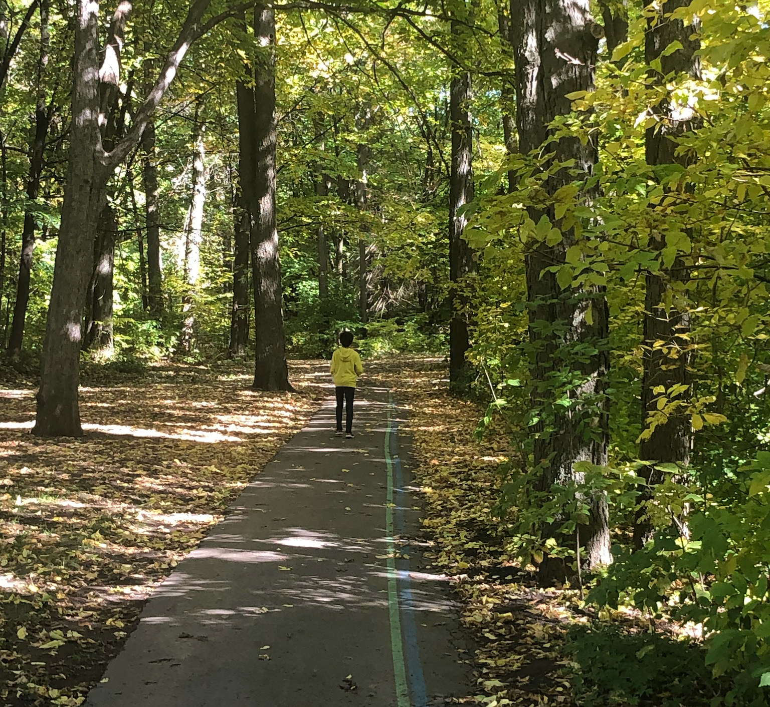 Enfant marchant seul sur un sentier boisé ensoleillé avec la ligne verte du sentier